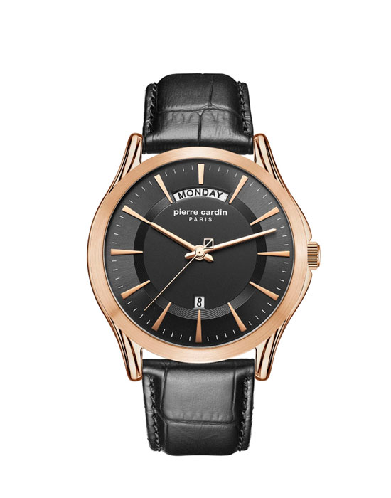 Часы Pierre Cardin Gents PC902241F03